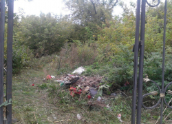 Во что превратилось старинное кладбище Борисоглебска