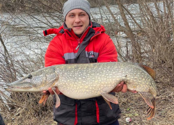 Щуку-великана поймал рыбак в Воронежской области 