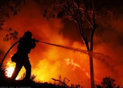 Жителей Воронежской области предупредили о повышенном риске лесных пожаров