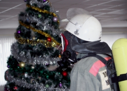 Борисоглебские спасатели на Новогодние праздники перешли в режим повышенной готовности