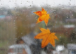 Активный циклон из Европы несет в Воронежскую область осеннюю хандру