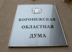 Депутаты Воронежской облдумы продлили меры социальной поддержки в регионе