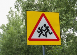 В Грибановском районе в ДТП пострадала десятилетняя девочка. Полиция призывает родителей беречь своих детей.