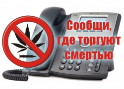 В Воронежской области стартовала антинаркотическая акция