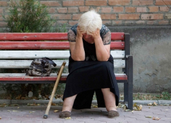 Спецмашины для пожилых селян появятся в Воронежской области