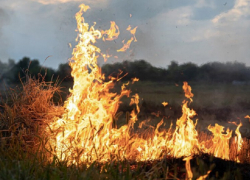 В Воронежской области в мае вырастет вероятность лесных пожаров
