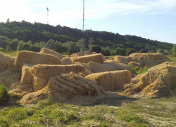 Вы спрашивали: что будет с соломой после закрытия «Князь-града»? Мы отвечаем.