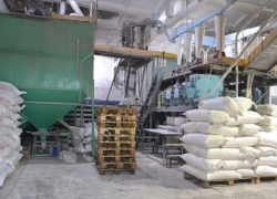 «Борисоглебский хлебопродукт» был продан на торгах за 53,4 млн. рублей