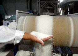 Воронежские сахзаводы приступили к производству сахара