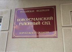 У антиникелевых активистов Житинева и Безменского появился третий адвокат