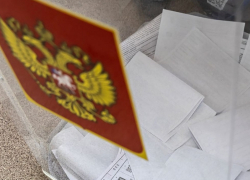 Досрочное голосование на выборах в Госдуму могут организовать в Воронежской области