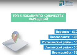 Борисоглебск вошел в ТОП-5 городов Воронежской области по количеству обращений от жителей