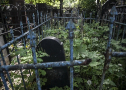 Волонтеры искали пропавшую в Воронежской области 80-летнюю пенсионерку и нашли ее на кладбище