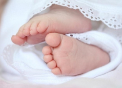 Родители первенцев в Воронежской области не спешат пользоваться положенными льготами