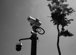 Свыше трех тысяч видеокамер установили корпоративные клиенты «Ростелекома» в Воронежской области