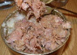 Правду о мясных консервах раскрыли воронежские специалисты