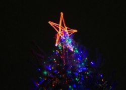 Стало известно, когда установят главную новогоднюю елку в Борисоглебске