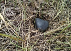 Ученые показали фотографии пролетавшего над Воронежем метеорита