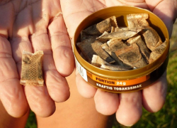 Родителей борисоглебских подростков призывают к борьбе со «снюсом»