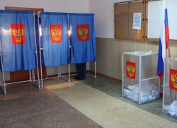 В Воронежской области следить за голосованием по поправкам в Конституцию будет рекордное количество общественников