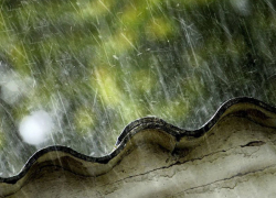 Когда в Борисоглебске закончатся дожди?