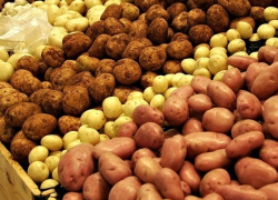 Известные российские супермаркеты торгуют опасным картофелем