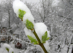 На выходных борисоглебцев и их соседей ожидает похолодание и снегопад