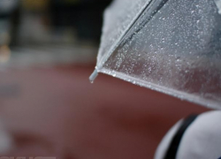 В Воронежской области первая неделя мая завершится дождями