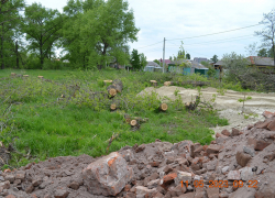  На ул. Парковой г. Борисоглебска вырубят  35 тополей