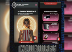 Жителей Воронежской области предупредили о мошенничестве с круглосуточным кинотеатром