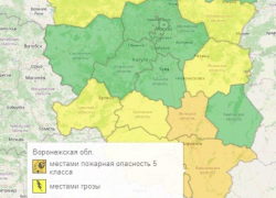 Оранжевый уровень опасности объявили из-за грозы в Воронежской области