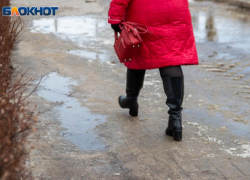 О дожде, метели и сильном ветре предупредили спасатели в Воронежской области