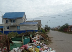 Житель Борисоглебска пожаловался  на разваливающиеся мусорные баки