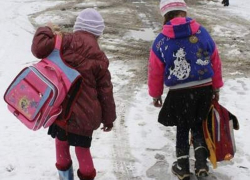 Борисоглебские школьники вернутся к учебе уже в понедельник