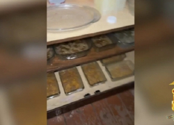 Правоохранители накрыли лабораторию по производству мефедрона в Борисоглебске