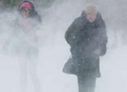 Аномальные морозы наступают на Воронежскую область