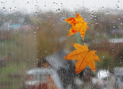 Неожиданное тепло и дожди на короткой  рабочей неделе пообещали борисоглебцам синоптики