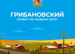 История городов и поселков Воронежской области: пгт Грибановский 