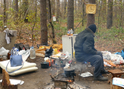 В лесу на окраине Борисоглебска поселился бездомный человек
