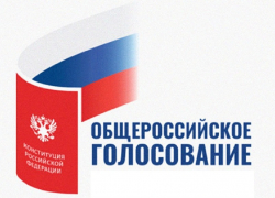 Большинство борисоглебцев не собираются принимать участия в голосовании по поправкам в Конституцию