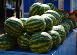 Воронежский Роспотребнадзор предостерег от покупки ранних арбузов