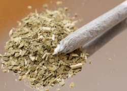 Борисоглебский городской суд оштрафовал Волгоградского «траволюба» на 15 000 рублей