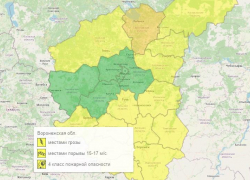 Жёлтый уровень опасности изменил свой характер в Воронежской области