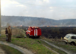  В Борисоглебске опять загорелся луг