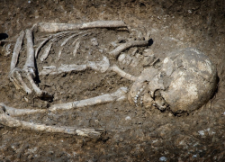 В Терновке подростки обнаружили человеческие кости в старом погребе