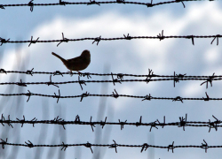 Житель села Третьяки убивший по неосторожности свою знакомую попал под амнистию