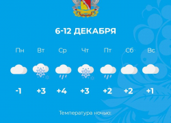 Вторая неделя декабря: в Черноземье опять будут лить дожди...