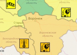 Оранжевый уровень опасности объявили в Воронежской области из-за жары и грозы