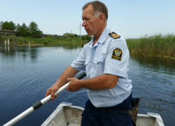 В реке Савала Новохоперского района есть подозрение на замор рыбы