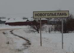 В центре села Новогольелань Грибановского района построят сквер